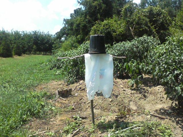 morning picdump 63 pics 15.html - 63 HD Photos | Premium Gallery 2011