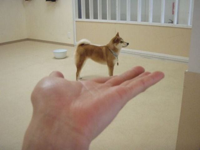 morning picdump 63 pics 15.html - 63 HD Photos | Premium Gallery 2011