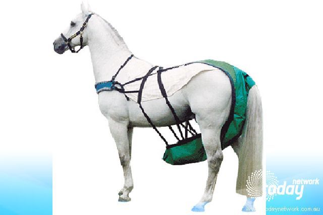 daily picdump weekend edition 78 pics 18.html - 78 HD Photos | Premium Gallery 2011