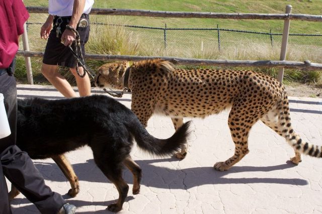 daily picdump weekend edition 78 pics 18.html - 78 HD Photos | Premium Gallery 2011