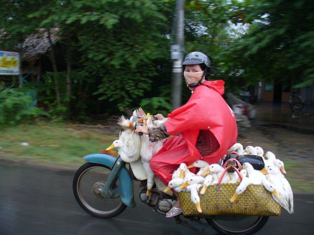 daily picdump weekend edition 78 pics 18.html - 78 HD Photos | Premium Gallery 2011