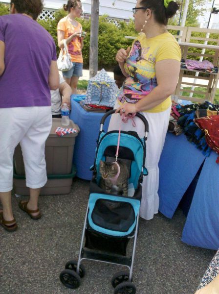 daily picdump weekend edition 78 pics 18.html - 78 HD Photos | Premium Gallery 2011