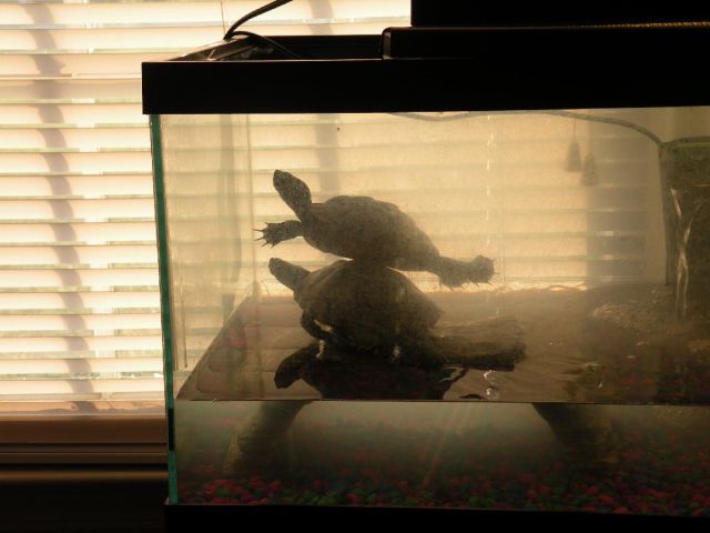 daily picdump weekend edition 78 pics 18.html - 78 HD Photos | Premium Gallery 2011