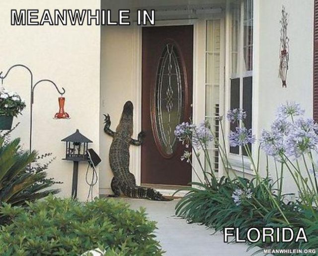 “Meanwhile In” Hilarious Memes