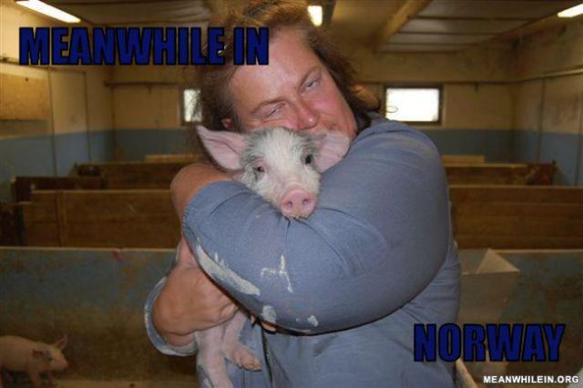 “Meanwhile In” Hilarious Memes