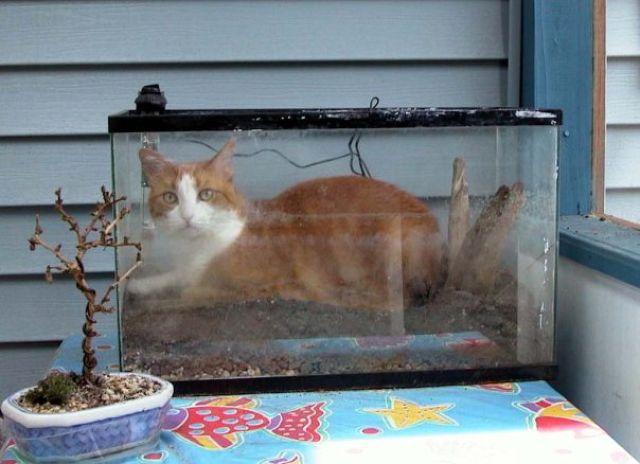 Morning Picdump