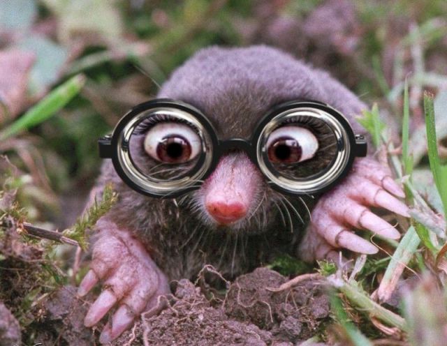 Morning Picdump