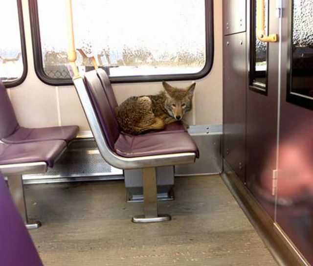 Morning Picdump