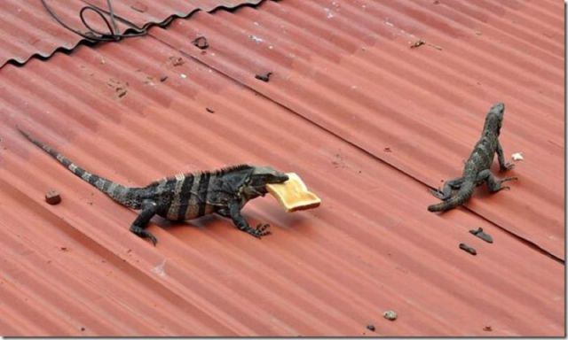 morning picdump 70 pics 20.html - 70 HD Photos | Premium Gallery 2011