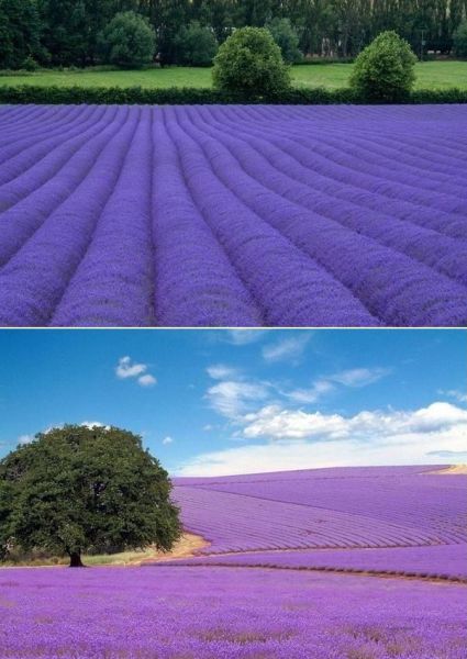 morning picdump 55 pics 17.html - 55 HD Photos | Premium Gallery 2011