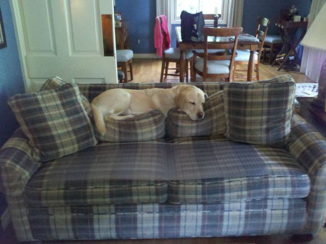 morning picdump 55 pics 17.html - 55 HD Photos | Premium Gallery 2011