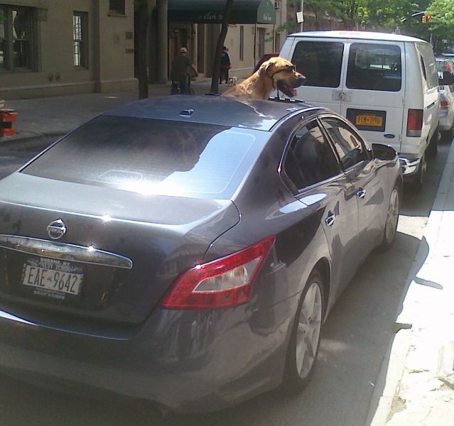 Morning Picdump