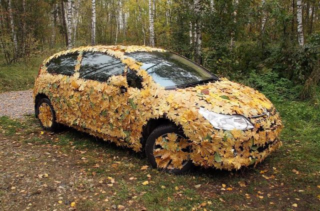 Morning Picdump