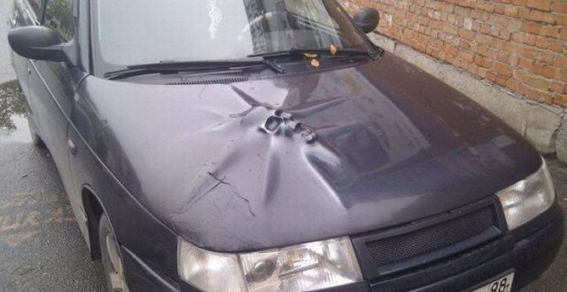 Morning Picdump