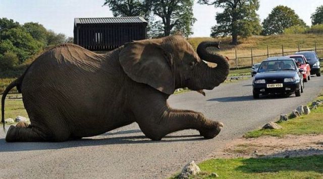 Morning Picdump