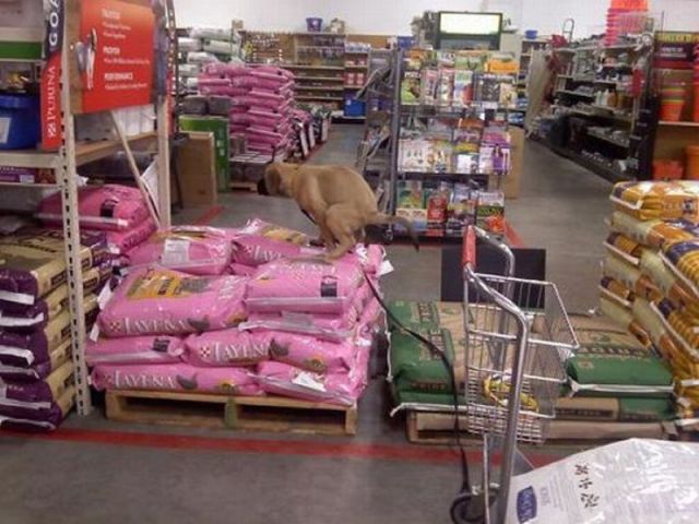 morning picdump 69 pics 32.html - 69 HD Photos | Premium Gallery 2011