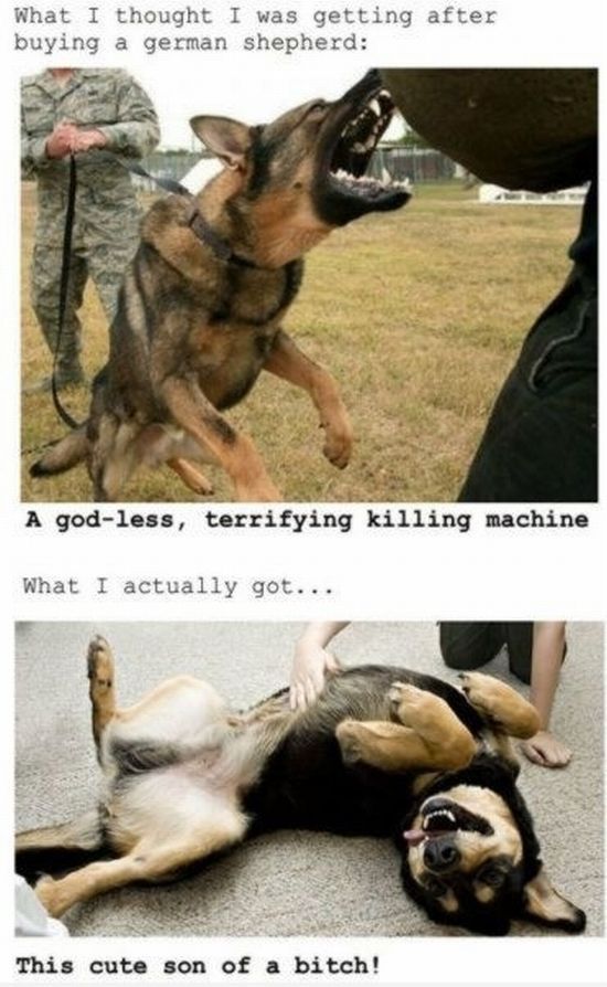 Morning Picdump