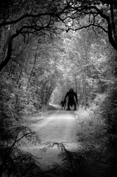 morning picdump 63 pics 7.html - 63 HD Photos | Premium Gallery 2011