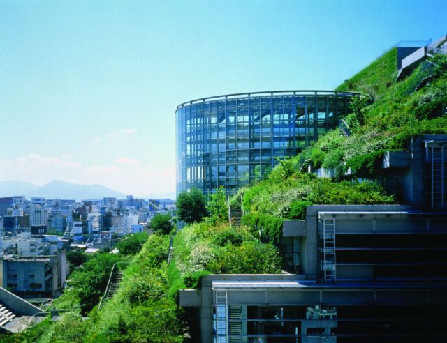 morning picdump 63 pics 7.html - 63 HD Photos | Premium Gallery 2011