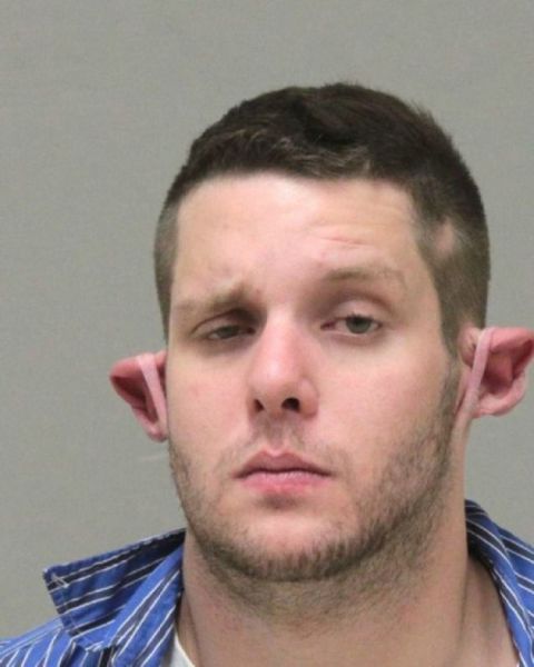 morning picdump 65 pics 17.html - 65 HD Photos | Premium Gallery 2011