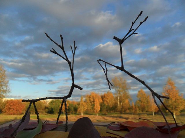 morning picdump 65 pics 17.html - 65 HD Photos | Premium Gallery 2011