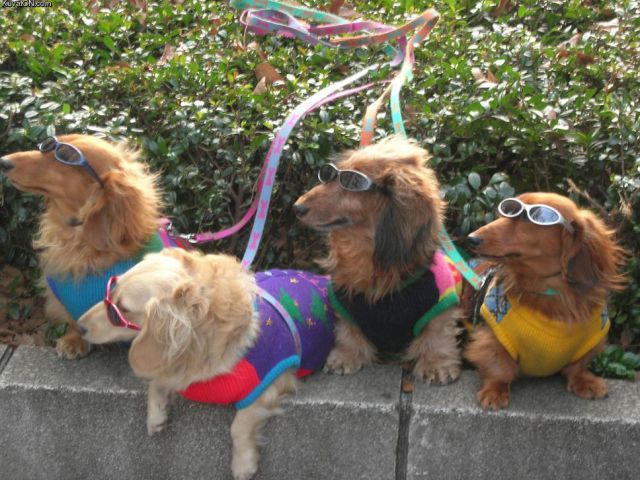 morning picdump 64 pics 30.html - 64 HD Photos | Premium Gallery 2011