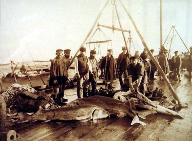 morning picdump 64 pics 30.html - 64 HD Photos | Premium Gallery 2011