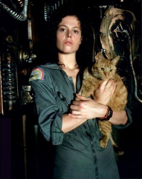 morning picdump 64 pics 30.html - 64 HD Photos | Premium Gallery 2011