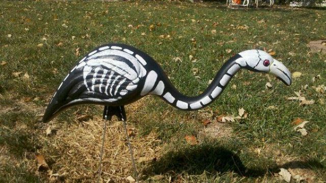 morning picdump 64 pics 30.html - 64 HD Photos | Premium Gallery 2011