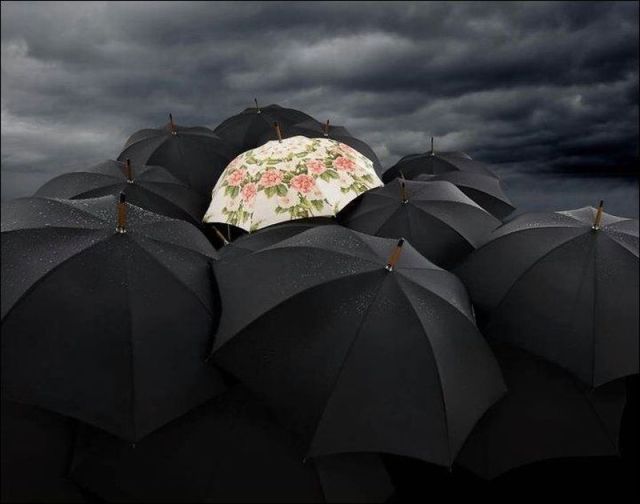 daily picdump 88 pics 4.html - 88 HD Photos | Premium Gallery 2011