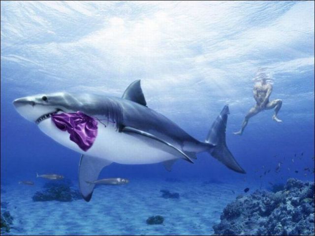 daily picdump 88 pics 4.html - 88 HD Photos | Premium Gallery 2011