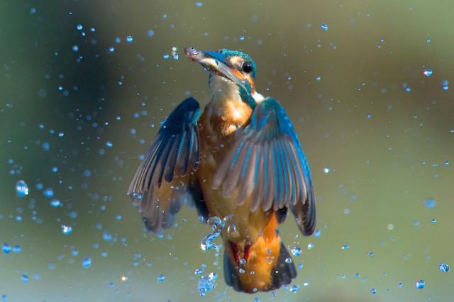 daily picdump 88 pics 4.html - 88 HD Photos | Premium Gallery 2011