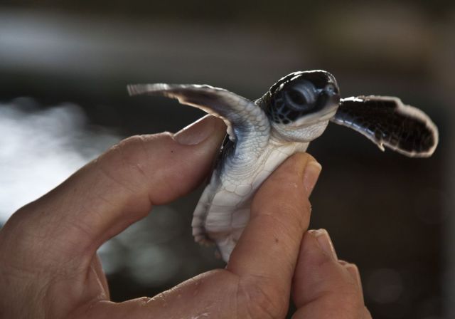 daily picdump 88 pics 4.html - 88 HD Photos | Premium Gallery 2011