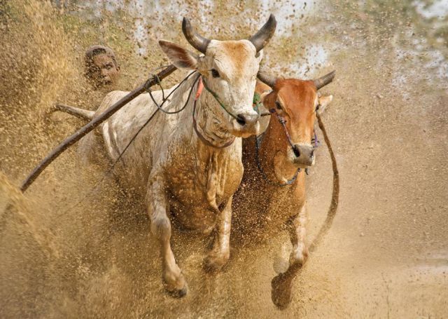 daily picdump 88 pics 4.html - 88 HD Photos | Premium Gallery 2011