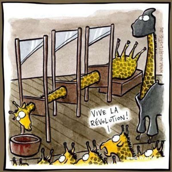 daily picdump 88 pics 4.html - 88 HD Photos | Premium Gallery 2011