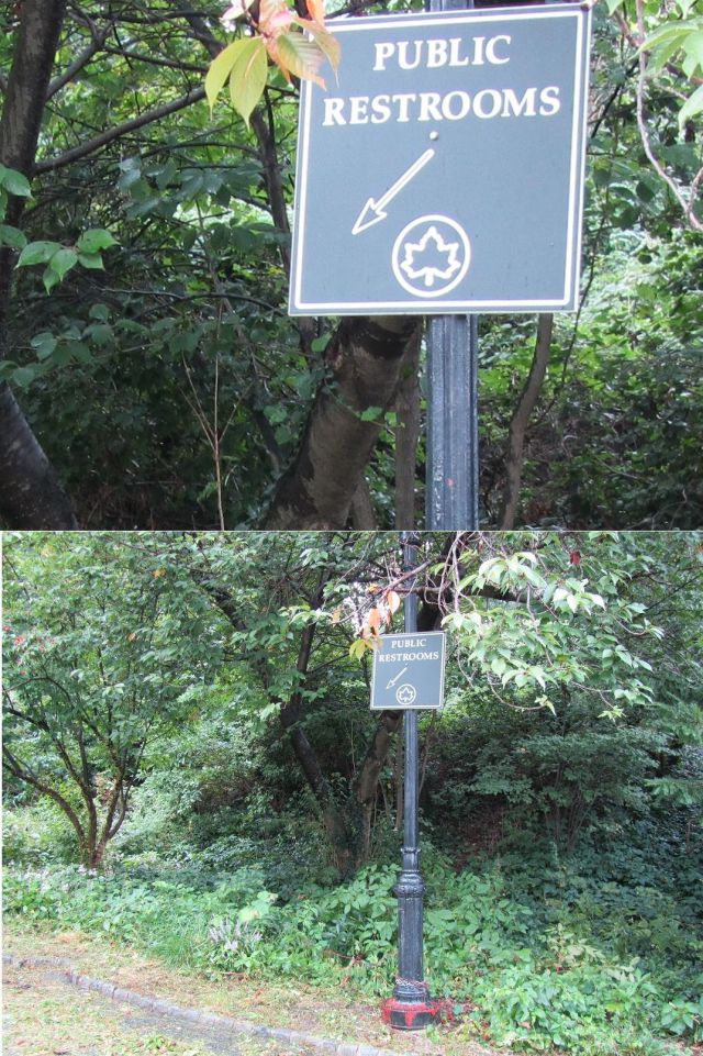 daily picdump 88 pics 4.html - 88 HD Photos | Premium Gallery 2011