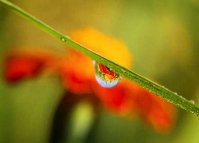 morning picdump 68 pics 13.html - 68 HD Photos | Premium Gallery 2011