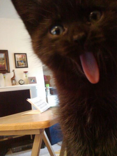 Daily picdump [WEEKEND EDITION]