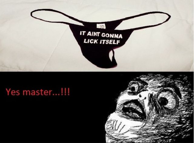 Daily picdump [WEEKEND EDITION]