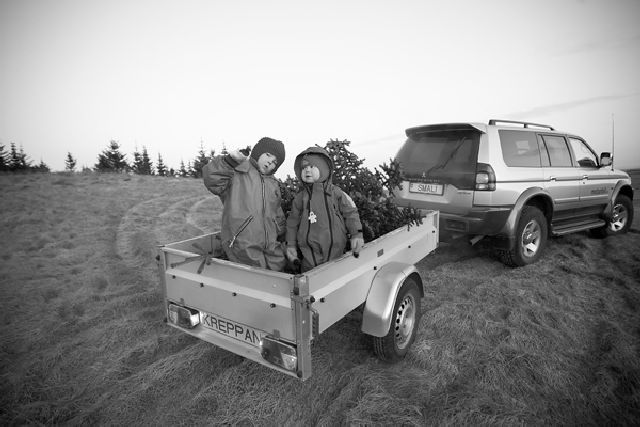 daily picdump weekend edition 80 pics 31.html - 80 HD Photos | Premium Gallery 2011