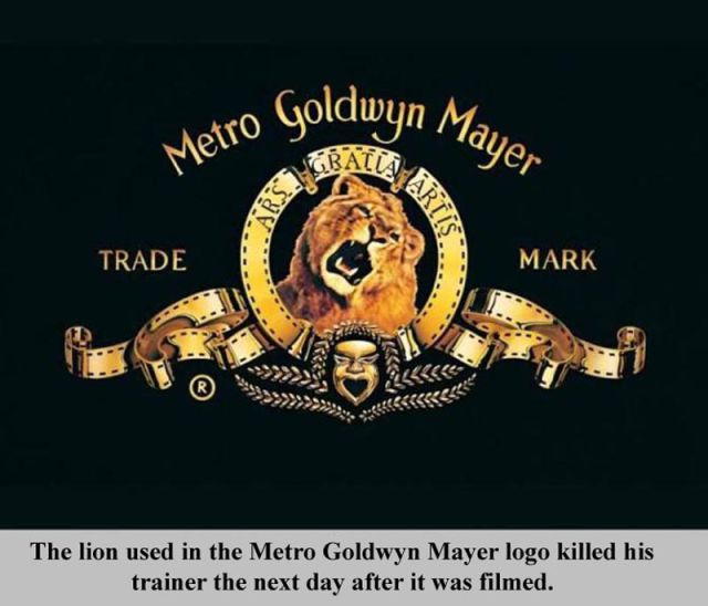 Interesting Facts about Everything