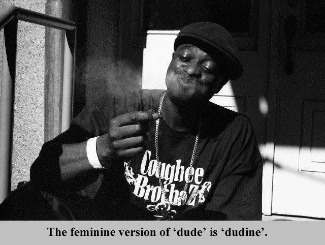 Interesting Facts about Everything