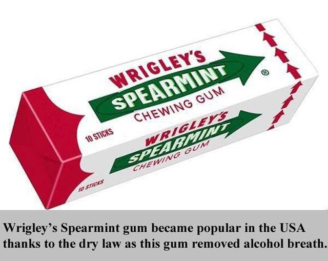 Interesting Facts about Everything