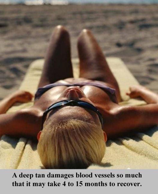 Interesting Facts about Everything