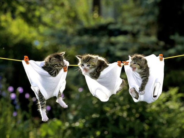 morning picdump 64 pics 23.html - 64 HD Photos | Premium Gallery 2011