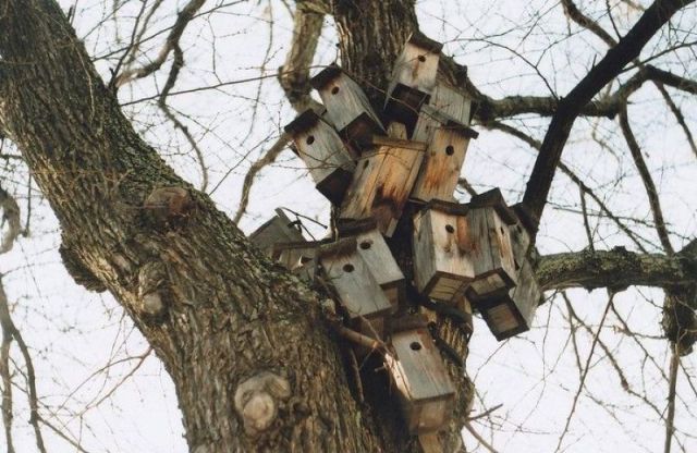 morning picdump 64 pics 23.html - 64 HD Photos | Premium Gallery 2011