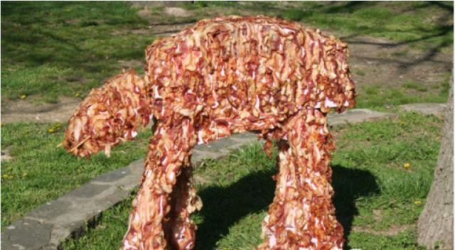 morning picdump 64 pics 23.html - 64 HD Photos | Premium Gallery 2011