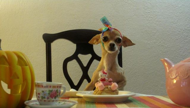 morning picdump 59 pics 12.html - 59 HD Photos | Premium Gallery 2011