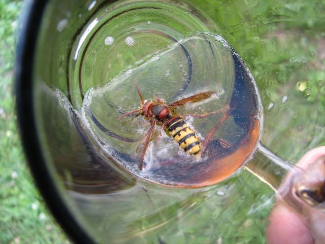 morning picdump 59 pics 12.html - 59 HD Photos | Premium Gallery 2011