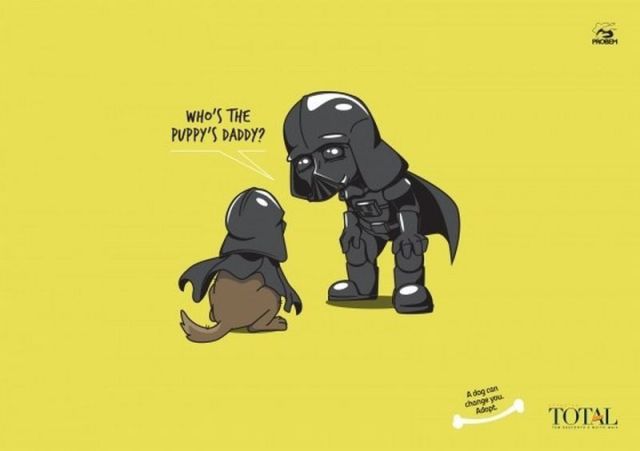 Morning Picdump